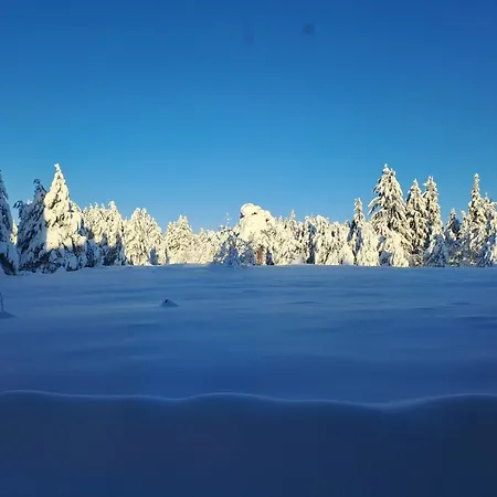 Rila Mountain Design Studio, Borovets, Shiroka Poliana 216 Apartamento