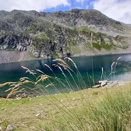 Apartamento Rila Mountain Design Studio, Borovets, Shiroka Poliana 216 *