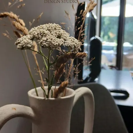 Rila Mountain Design Studio, Borovets, Shiroka Poliana 216 Apartamento