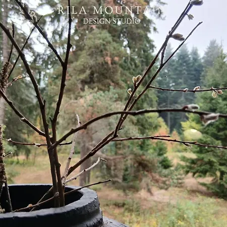 Rila Mountain Design Studio, Borovets, Shiroka Poliana 216 * Boroveț