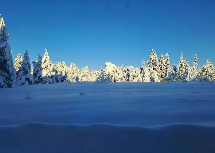 Rila Mountain Design Studio, Borovets, Shiroka Poliana 216 Daire