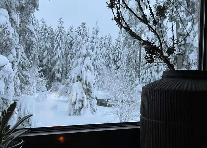 Rila Mountain Design Studio, Borovets, Shiroka Poliana 216 Daire *