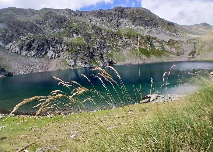 Daire Rila Mountain Design Studio, Borovets, Shiroka Poliana 216 *