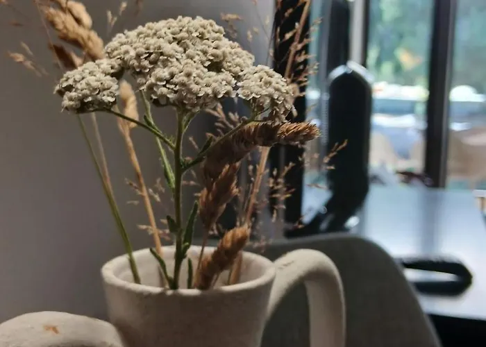 Rila Mountain Design Studio, Borovets, Shiroka Poliana 216 Daire