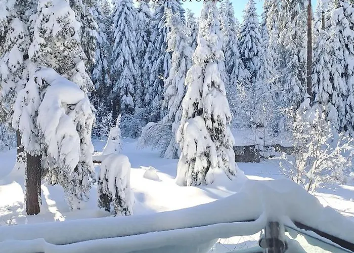 Rila Mountain Design Studio, Borovets, Shiroka Poliana 216